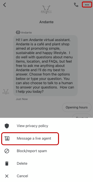 Pinapayagan ng live-chat solution ang mga may-ari ng negosyo na direktang makipag-usap sa mga customer