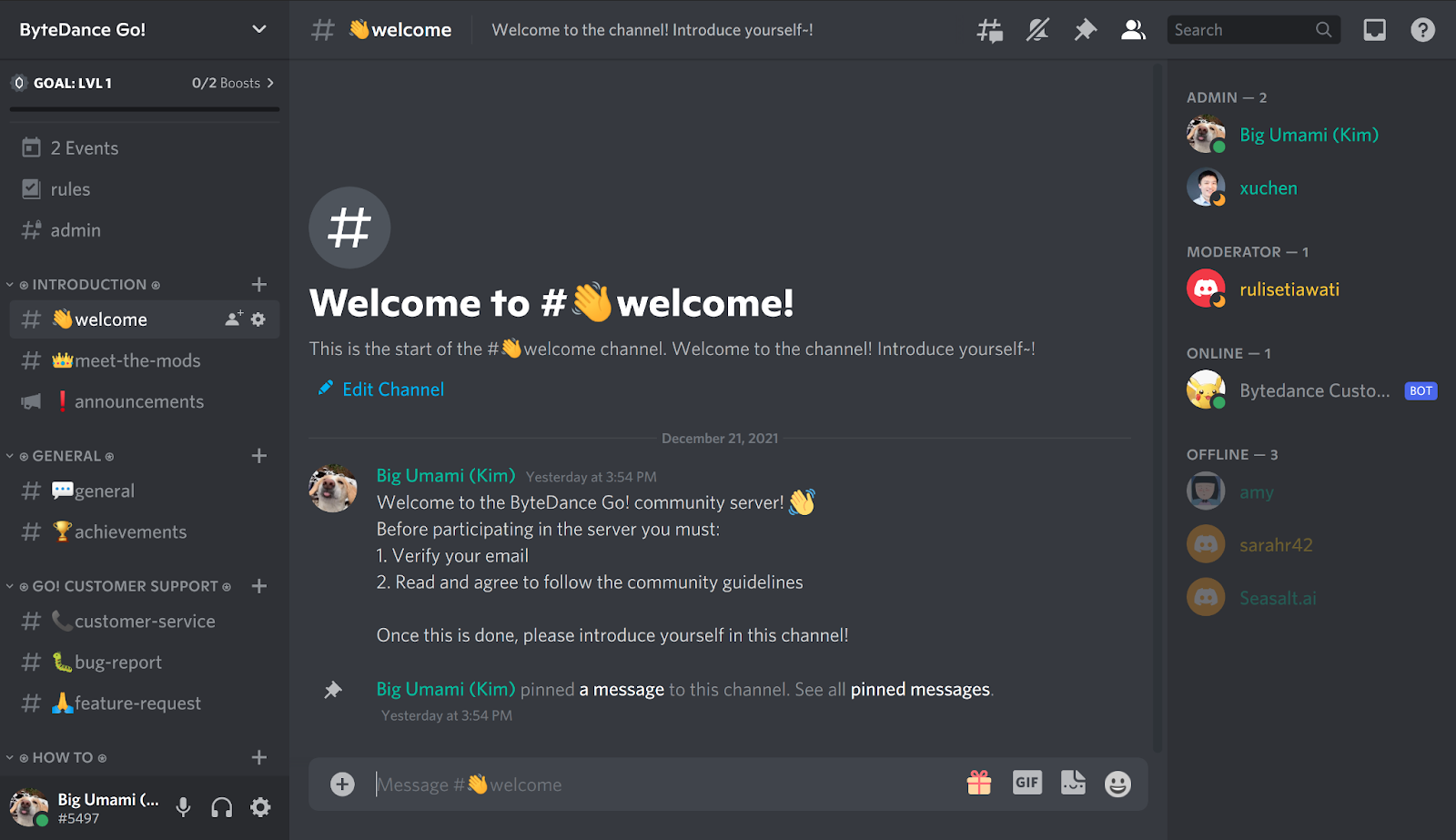 पूरी तरह से अनुकूलित Discord सर्वर।