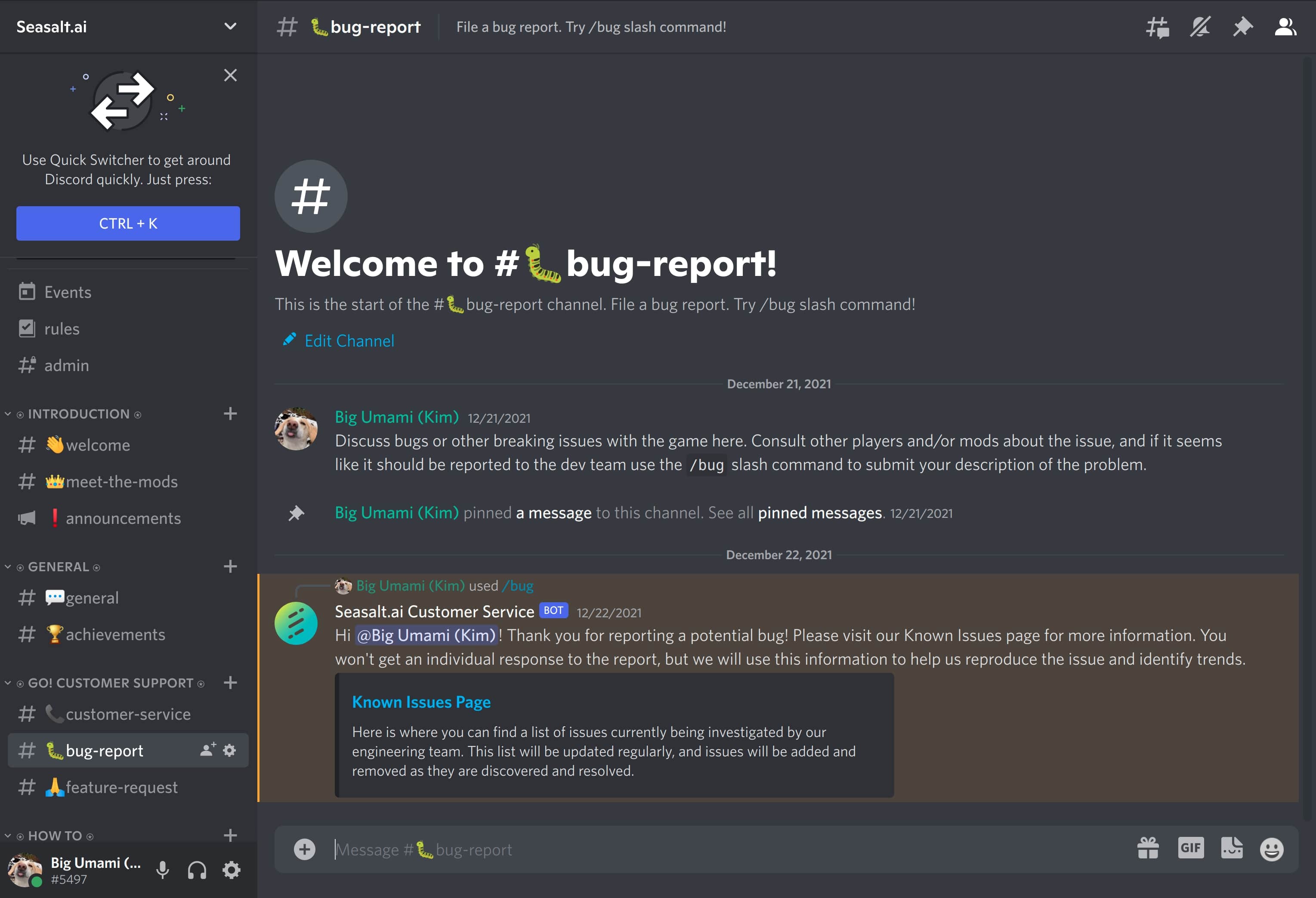 Bug report channel on Discord server containing submitted bug reports.