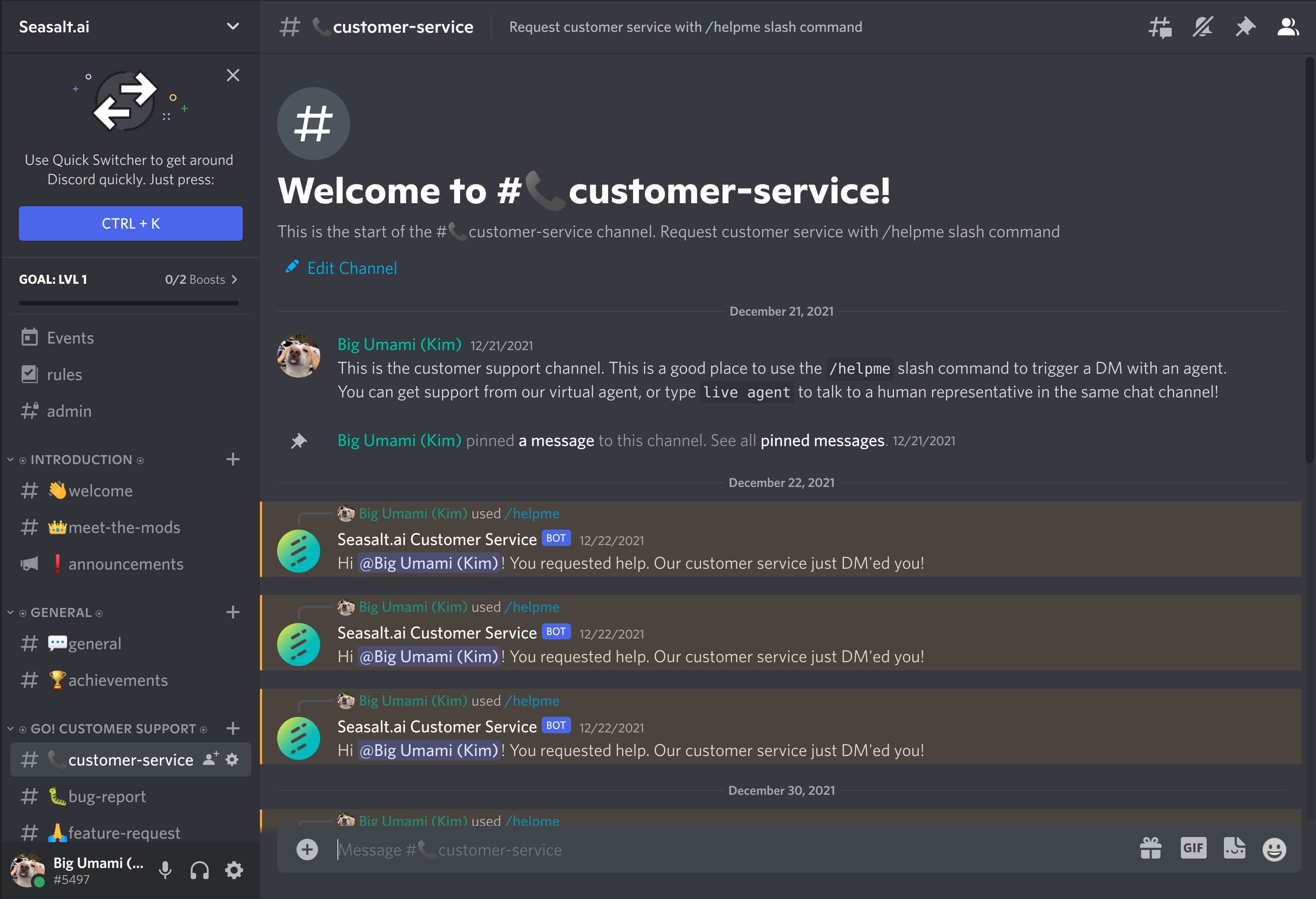 Customer service channel on Discord server containing user triggering DM.