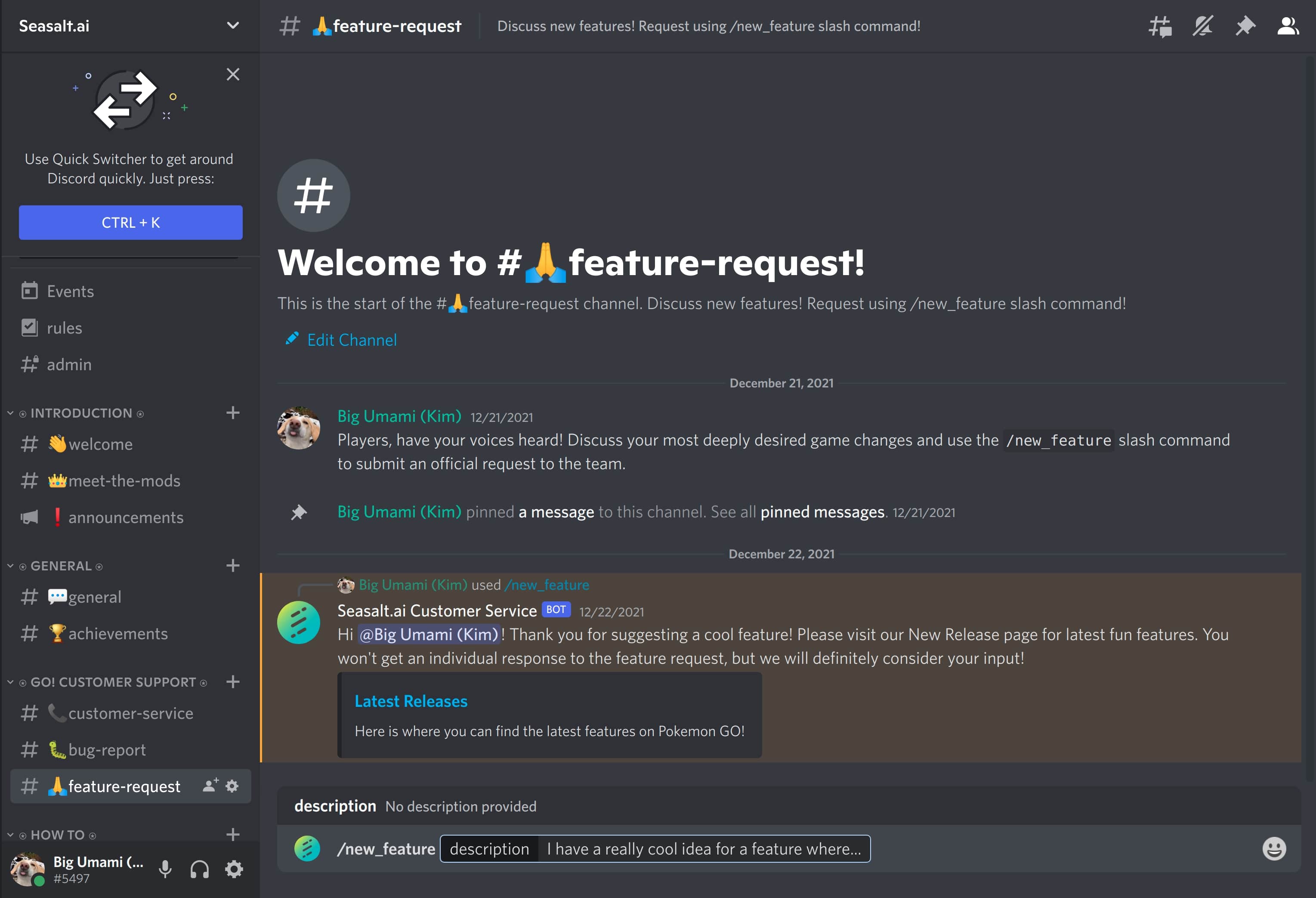 Feature request channel on Discord server containing user executing slash command.